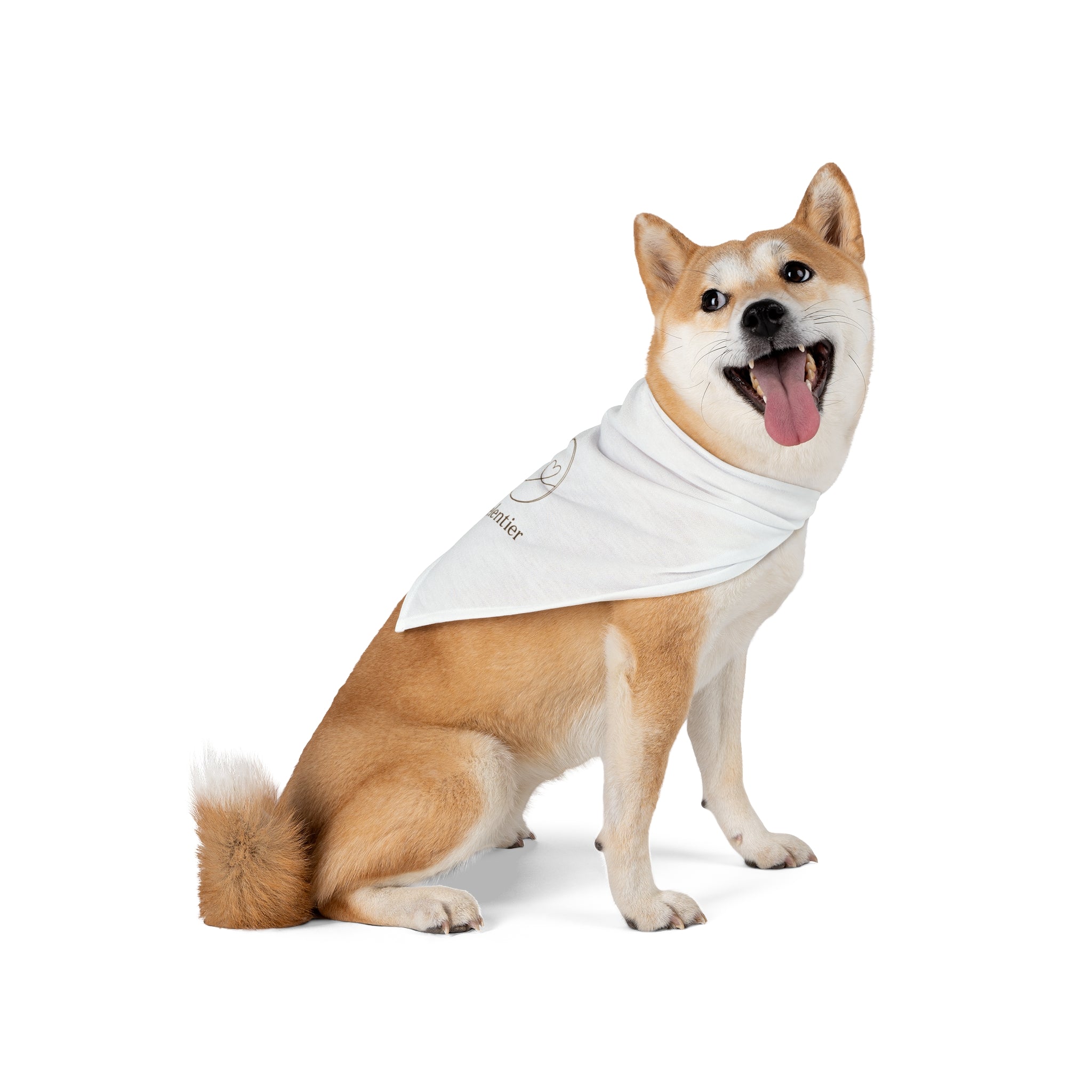 Pet Bandana Seelentier